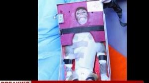 Иран изпрати маймуна в космоса