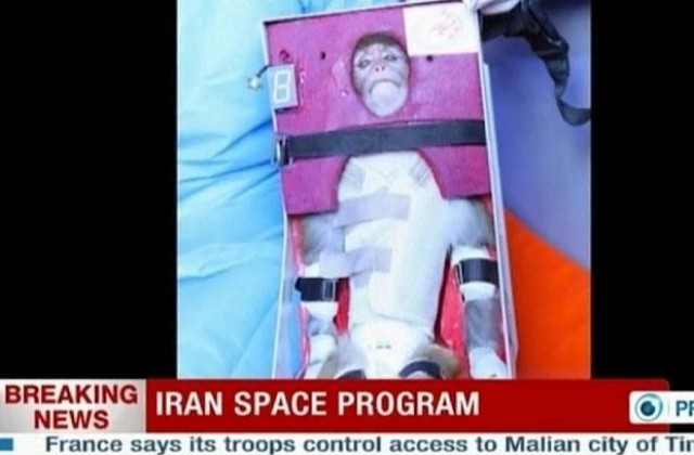 Иран изпрати маймуна в космоса