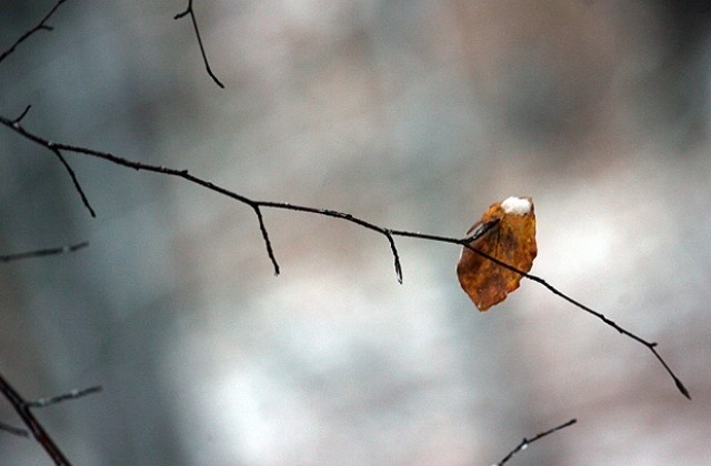 Облачно, на места слънце