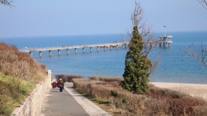 Ще се строи ли Океанариум в Бургас става ясно днес