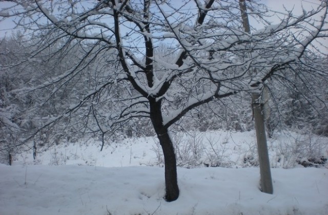 Жълт код в Габровска област за силен вятър