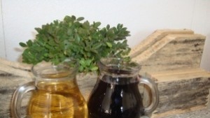 Празник на греяната ракия и нашенската туршия