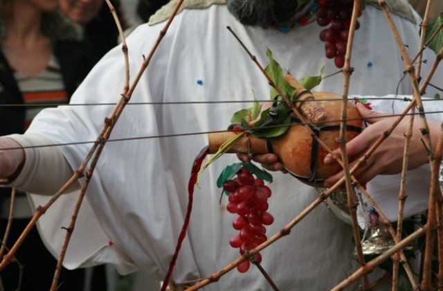 Почитаме Свети Трифон, покровител на лозарите