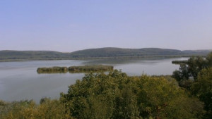 Ученици отбелязват Световния ден на влажните зони