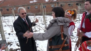 Зарязаха лозята в село Кортен