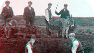 Шведска маса напълни дупката на Тройката