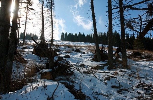 Вятърът отслабва, температурите остават високи