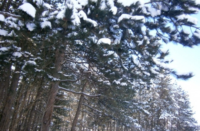 Вятърът отслабва, температурите остават високи