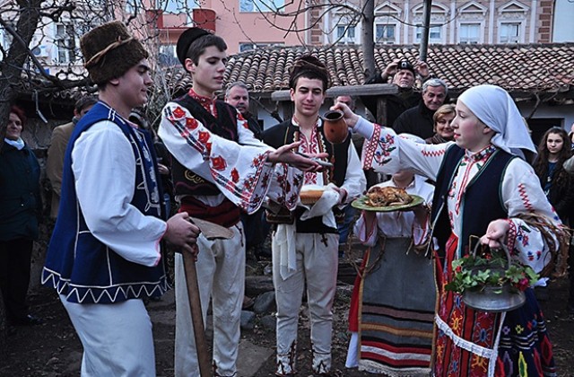 Трифон Зарезан във Враца