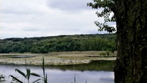 Световен ден на влажните зони