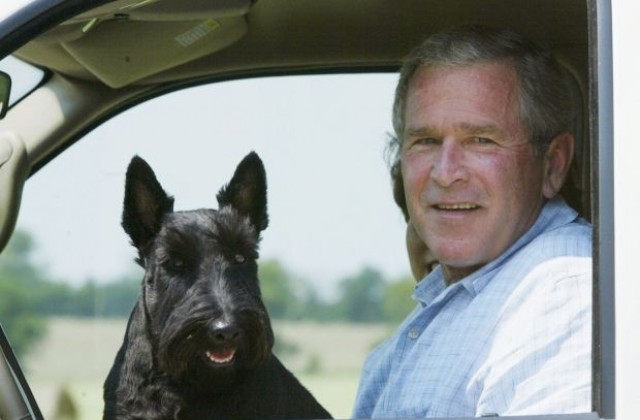 Спомина се кучето на Джордж Буш – Барни