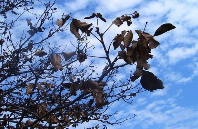 Разкъсана облачност