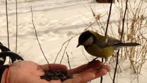 Остават само 10 дни до края на фотоконкурса Зрънце любов