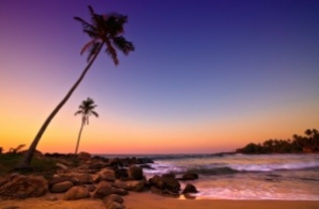 Платени стажове в испанските курорти Ибиса и Палма де Майорка