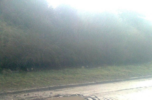 Добричлия ще съди Общината заради дупка на пътя