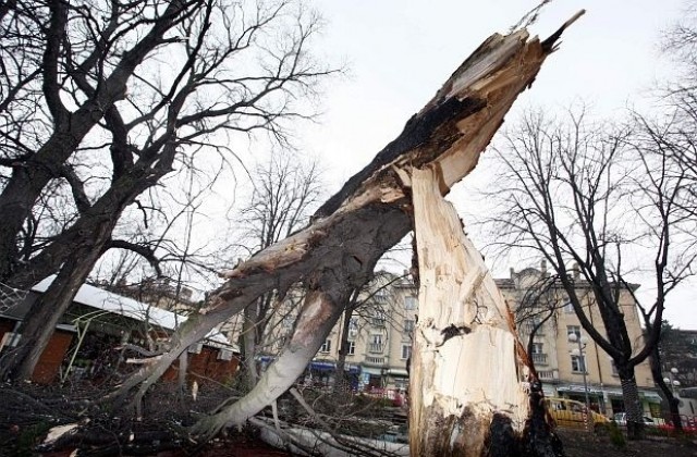 Жълт код заради силен вятър за Сливен и Ямбол