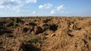 Държавната земя плодородна почва за работни места