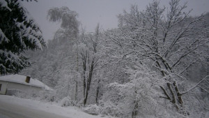 Пътищата проходими при зимни условия