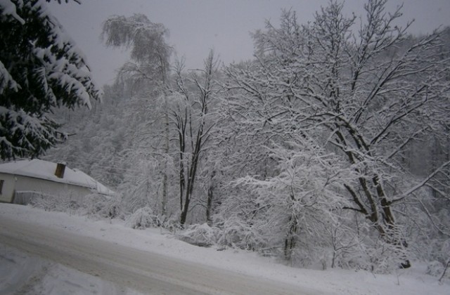 Пътищата проходими при зимни условия