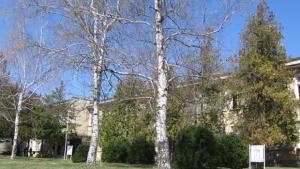 Санират 4 учебни и детски заведения с пари от Европа