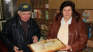 Трудна година отчетоха пчеларите в Търговище