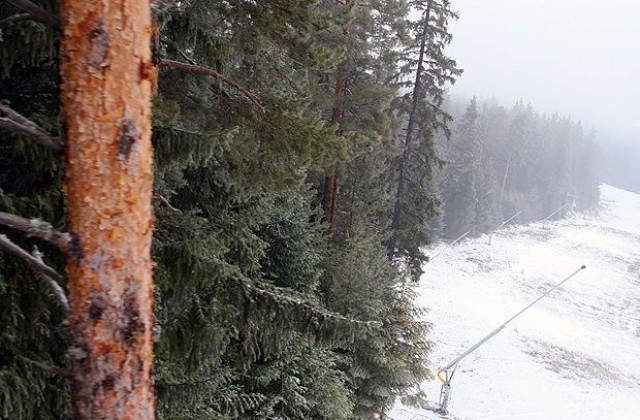 Експерти решават за санкцията на концесионера на ски зоната в Банско