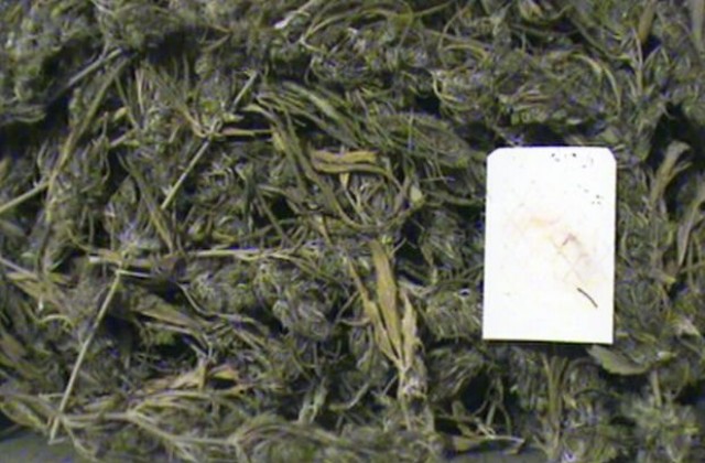 Спипаха младежи с дрога