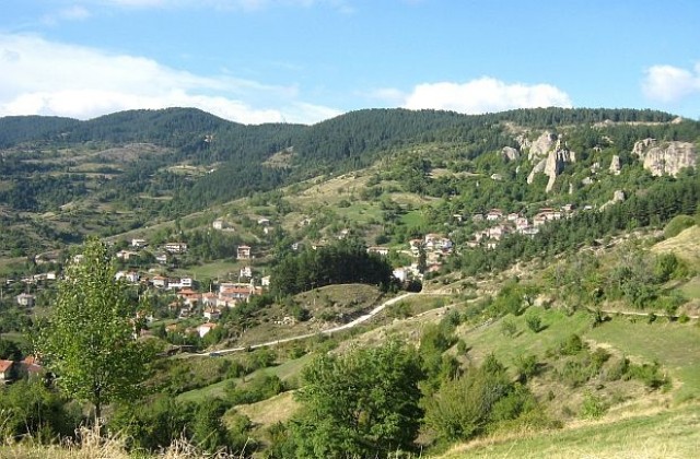 Високи сиви планини