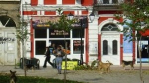 Центъра на Русе и Младежкия парк с наймного бездомни кучета