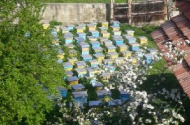 Пчелари искат от министъра на земеделието промяна в наредба