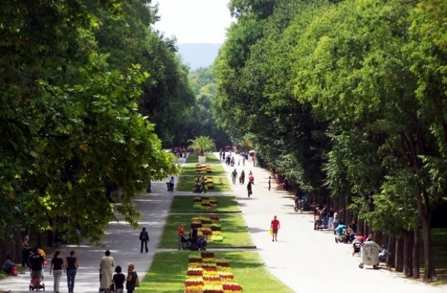 От ГЕРБ не изключват референдум за Морската градина