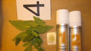 Спипаха британец отглеждал канабис в мазето си в Никюп