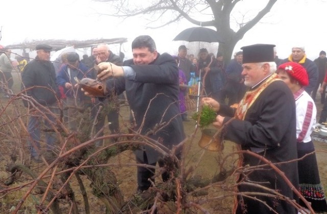 Община Никопол отбеляза празника на виното в село Лозица