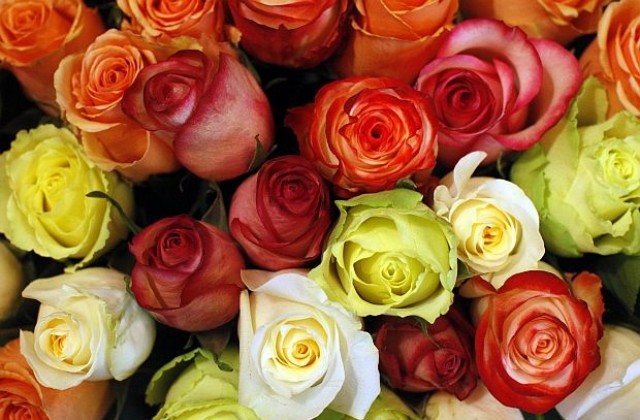 Полезни съвети как да останат цветята ви свежи за по-дълго