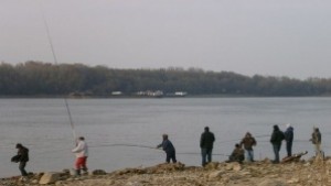 Забраняват улова на щука и бяла риба