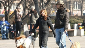 Безплатно кастрират домашни кучета в приемника всяка сряда