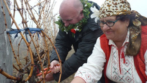 Винарска изба ще носи името на мездренско село