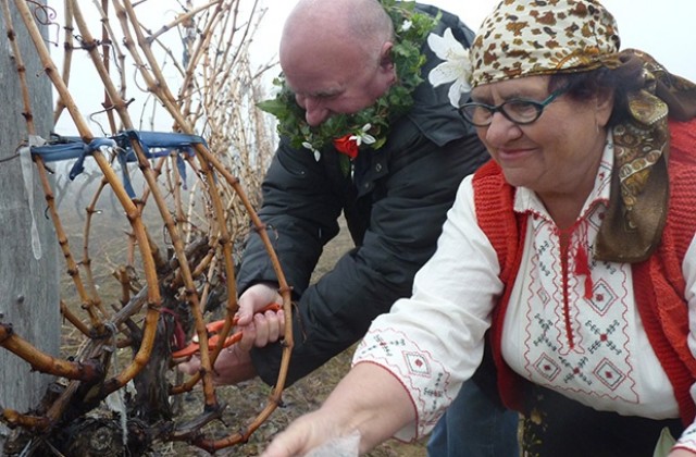 Винарска изба ще носи името на мездренско село