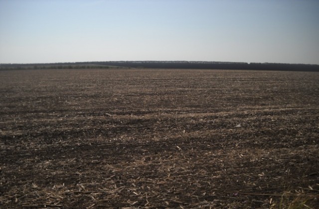 Зърнопрозводителите отлагат протестите