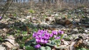 Уточняват границите на нова защитена територия