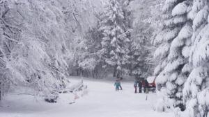 Ски маратон Габрово 2013