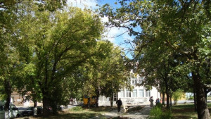 Нови работни места в община Болярово