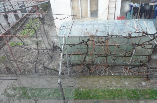 ВИДЕО: Гръмотевична буря и градушка в Кюстендилско