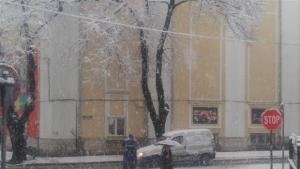 Силен снеговалеж и намалена видимост в Търговищко