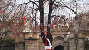 Видинчани превърнаха дърво в мартеница