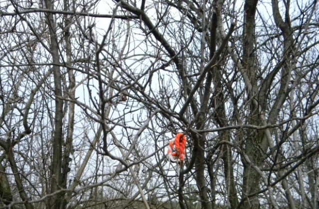 Баба Марта идва със слънце и по-високи температури