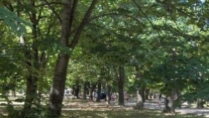 Масова медитация Молитва за България тази вечер в парка