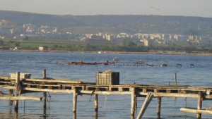 Окриха тялото на мъжа скочил от моста