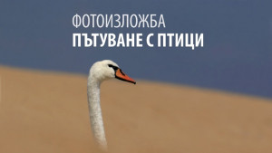 Изложба Пътуване с птиците гостува в Добрич