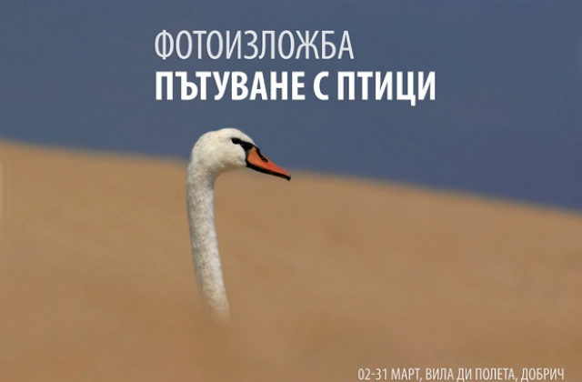 Изложба Пътуване с птиците гостува в Добрич